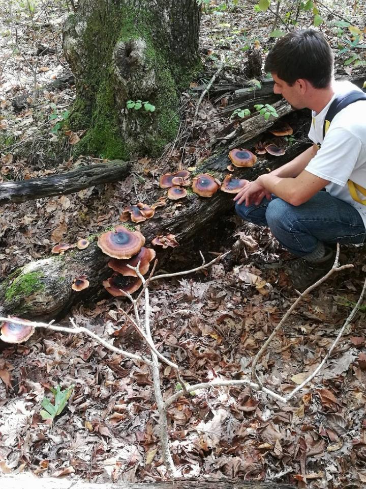 Biosecurity Researcher in the Field