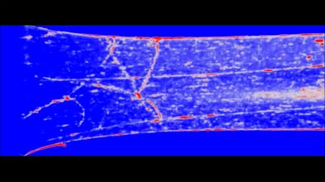 引っ張り応力が増大すると、メカノフォアからの発&#20809
