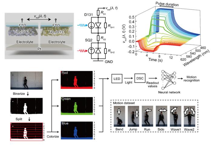 Testing a new artificial synapse for computer vision tasks