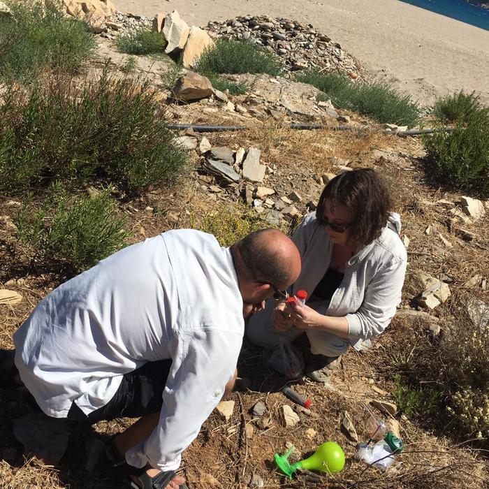 Sampling Crete's Soil