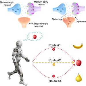 R-STDP in a single ferroelectric memtransistor for robotic recognition and tracking