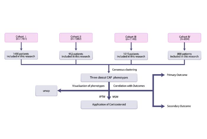 Flow chart of this research created by Qin et al./Xinhua Hospital.
