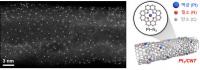 Characterisation of Pt1/CNT Catalyst