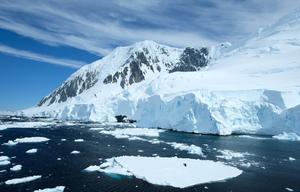 IcePiracy5_BAS_2025