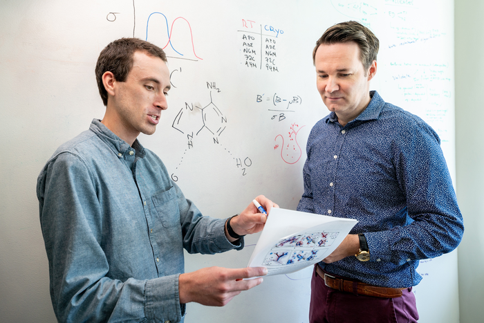 •	Cryogenic protein structures guide medicinal chemists in making new drug compounds.