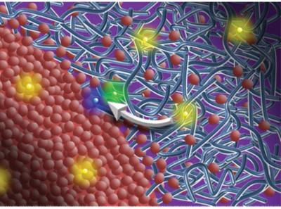 Organic/Polymer Solar Cells
