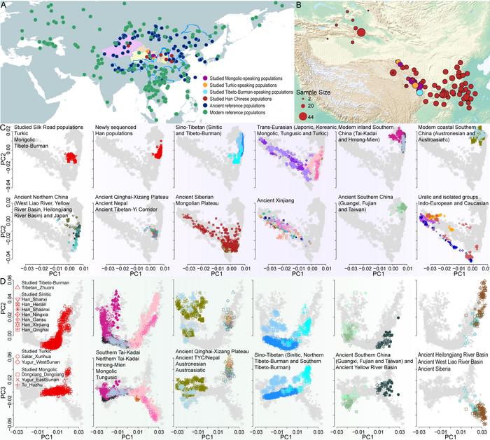 Fine-scale population genetic background and possible formation process of the Silk Road populations