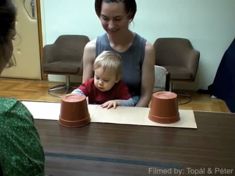 Infant 'Errors' a Matter of Interpretation