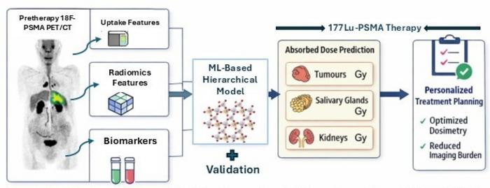 Workflow for prediction of 177Lu-PSMA therapy absorbed dose using pre-therapy 18F-PSMA PET/CT.