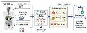 Workflow for prediction of 177Lu-PSMA therapy absorbed dose using pre-therapy 18F-PSMA PET/CT.