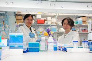 Cooking Up a New Recipe for Lipid Nanoparticles