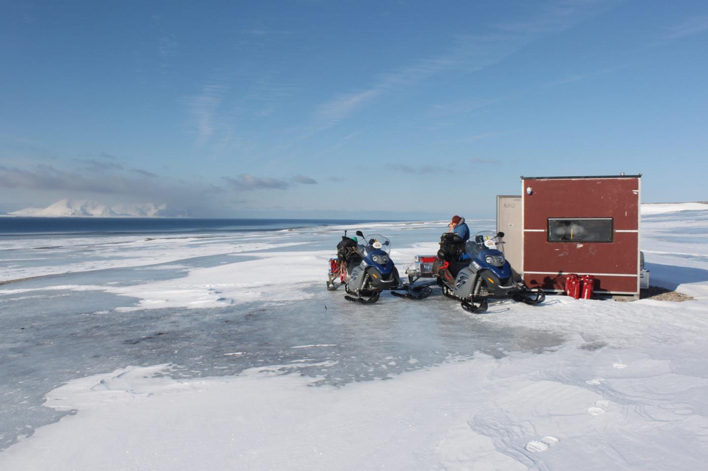 Rain-On-Snow Can Disrupt Arctic Ecosystems
