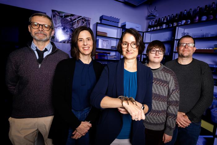 Eileen Hebets and collaborators