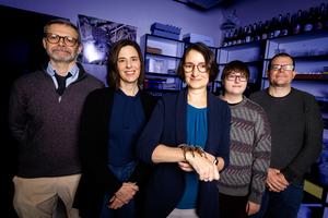 Eileen Hebets and collaborators