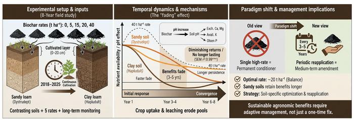 Biochar application rates regulate soil nutrient availability: evidence from an 8-year field study across two soils