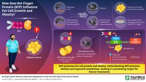 Ret Finger Protein (RFP): A Hidden Switch for Obesity