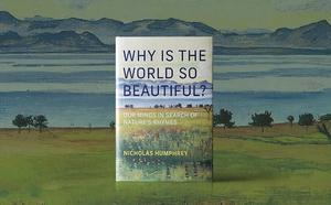 Why is the World So Beautiful? cover art