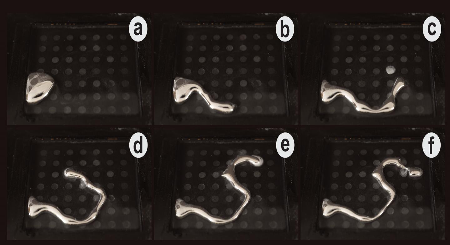 Programmable Liquid Deformation