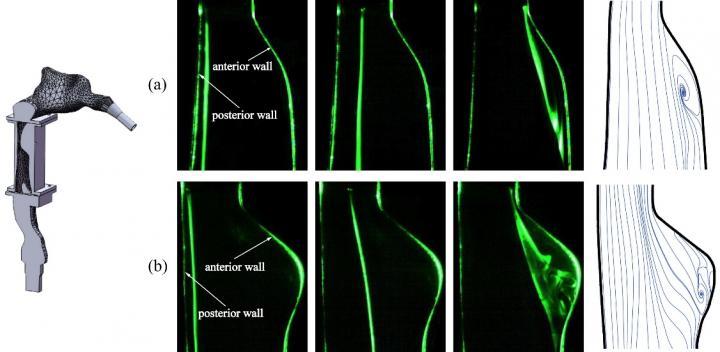 Figure 1: