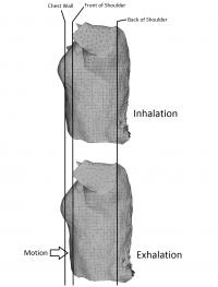 Motion Comparison (1 of 2)
