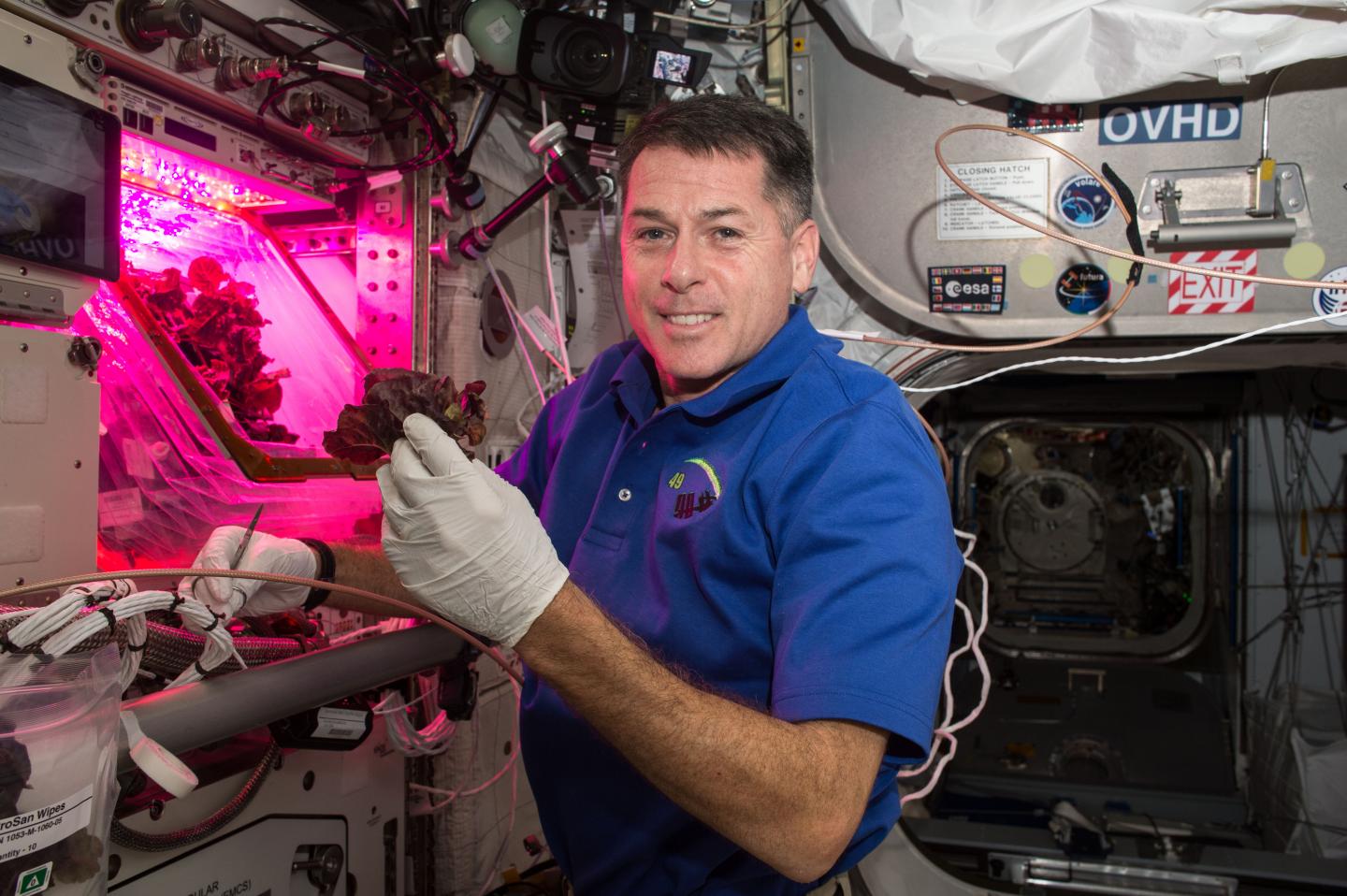 Produce From ISS