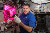 Produce From ISS