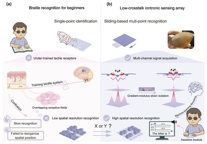 Concept of Braille recognition using a low‐crosstalk iontronic sensor array.