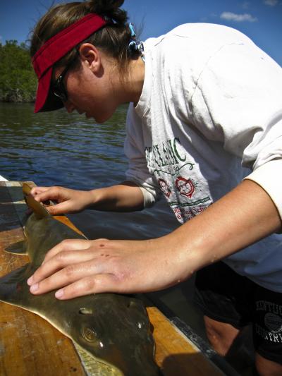 Lisa Hollensead, Florida State University