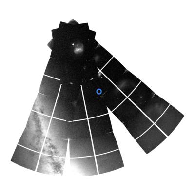 TESS Snapshot