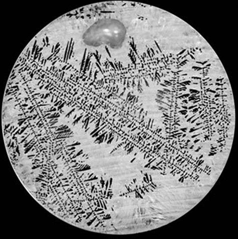 Dendrite Formations