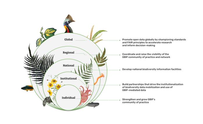 Capacity development across the Global Biodiversity Information Facility community.