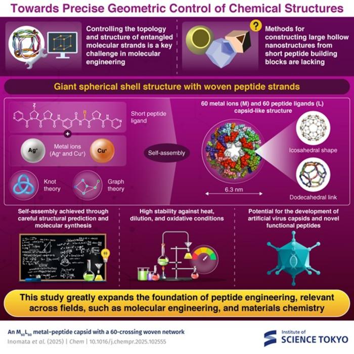 Construction of new hollow dodecahedral structures from metal ions and peptides