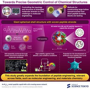 Construction of new hollow dodecahedral structures from metal ions and peptides
