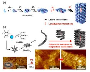 Self-assembly guided by cooperativity arising from helix structure and structural transition in response to solution temperature