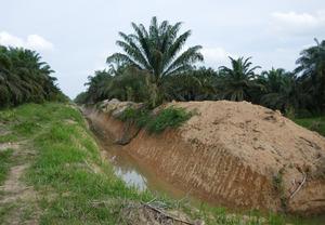 Bank of earth next to water and field