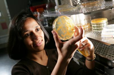 Reeta Prusty Rao, Worcester Polytechnic Institute