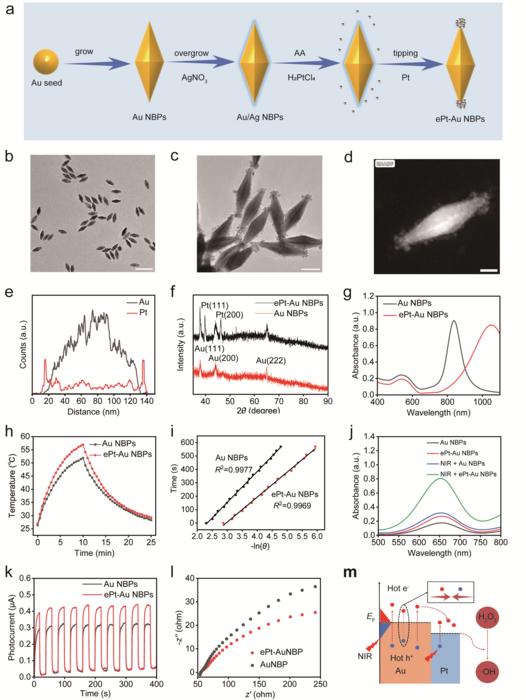 Figure 2 Synthesis, characterization, photothermal performance, and catalytic activity of ePt-Au NBPs (0.6 W cm-2).