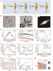 Figure 2 Synthesis, characterization, photothermal performance, and catalytic activity of ePt-Au NBPs (0.6 W cm-2).