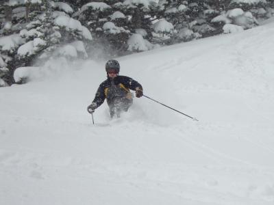 Skier