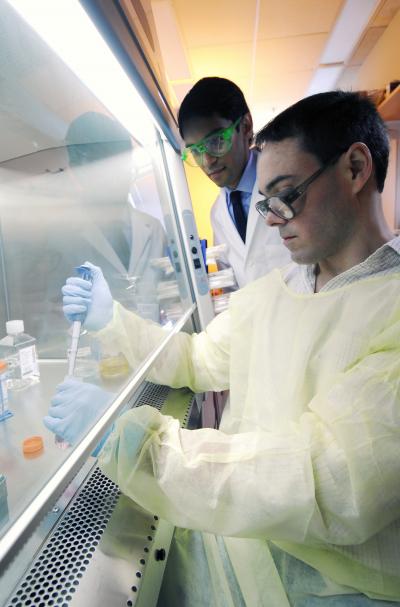 Binding Ligands to Nanowires