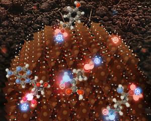 Illustration of iron minerals in soil