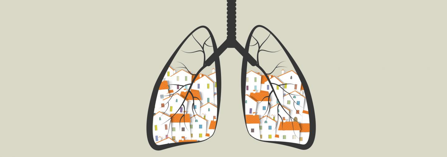 Study Links Unhealthy Segregated Neighborhoods to Childhood Asthma