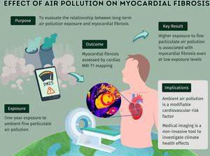 Exposure to Air Pollution May Cause Heart Damage