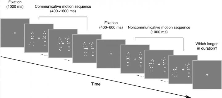 Schematic Illustration of An Exemplar Trial in the Duration Judgment Task
