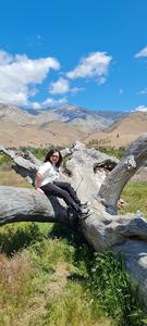 ‘Ready-made’ T-cell gene therapy tackles ‘incurable’ T-cell leukaemia: Alyssa