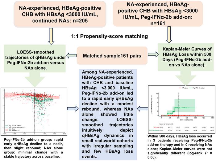 qHBsAg Trajectories with Peg-IFNα-2b Add-on Therapy in Nucleos(t)ide Analog-experienced HBeAg-positive Chronic Hepatitis B