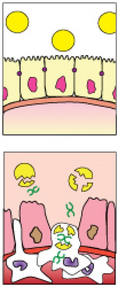 Thioketal Nanoparticles