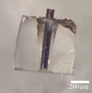 Fibers Coated in Glass