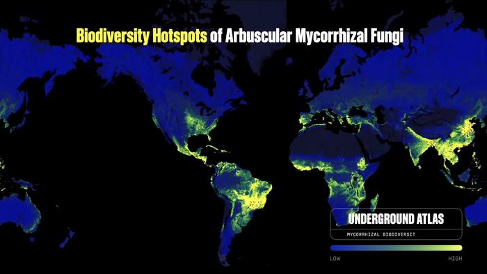 Protected vs. unprotected mycorrhizal biodiversity hotspots