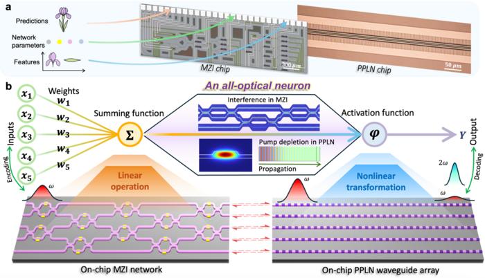 Figure | All-optical neural network architecture.